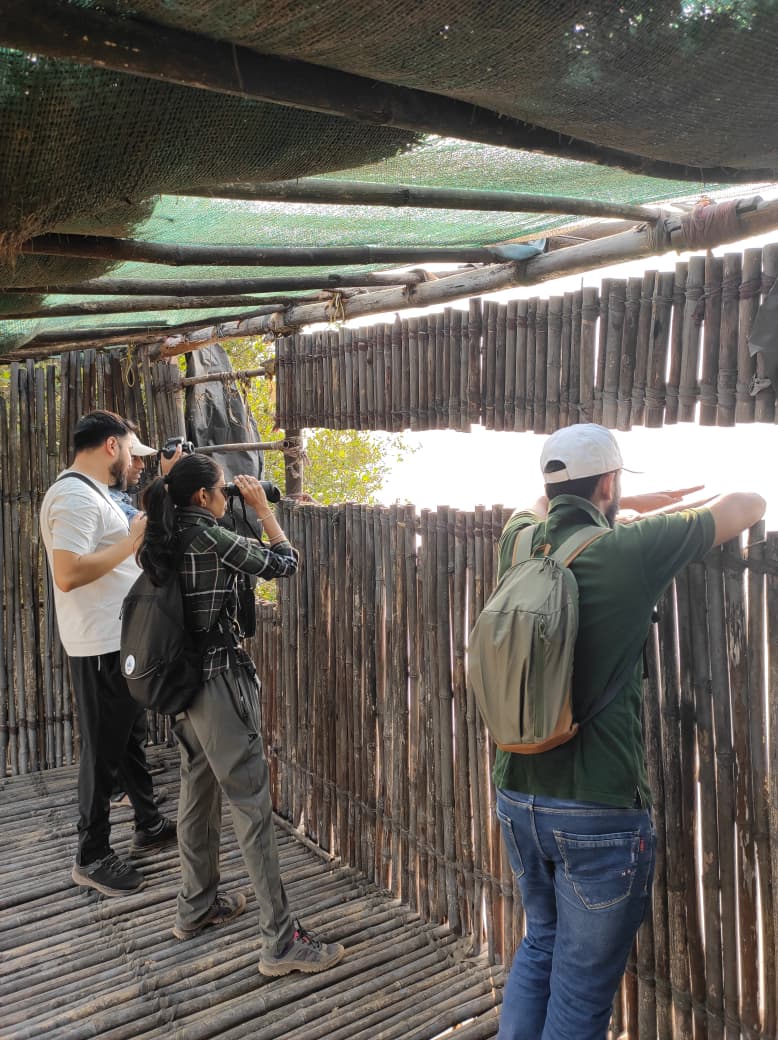 Great Backyard  Bird Count 2026