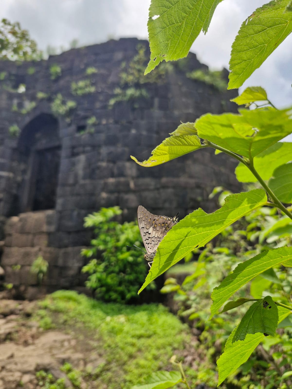Karnala Bird Sanctuary and Fort: A Landscape-Based Engagement