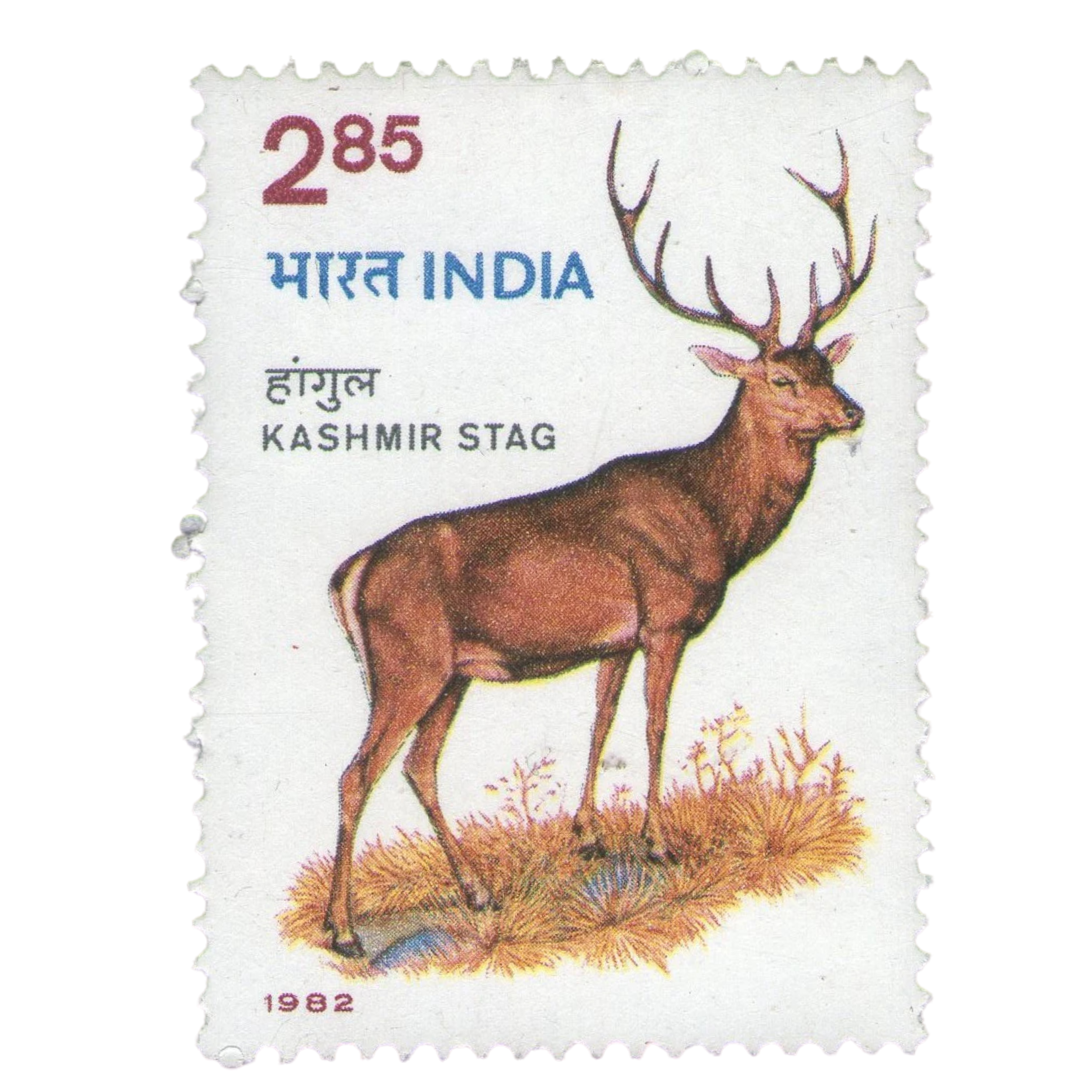 Archival & Literature Research