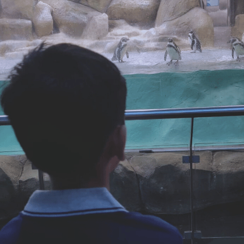 Curriculum-Integrated Field Modules